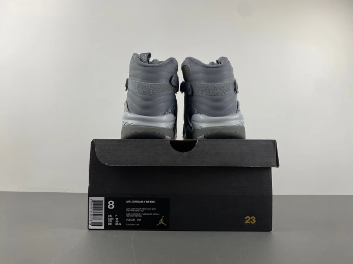 WellDesigned Jordan 8 Retro Cool Grey 305381- 623