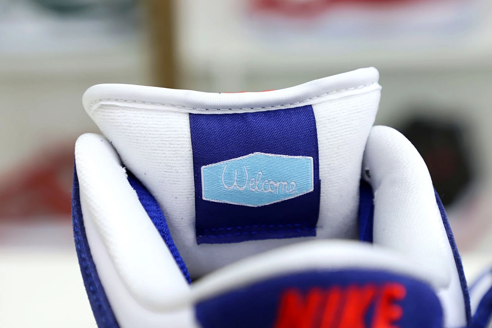 WellDesigned Kimikick NIKE DUNK LOW PRO PRM 'LOS ANGELES' 3502