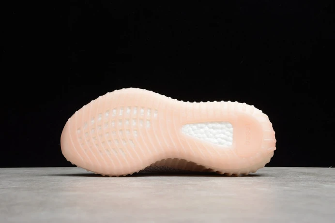ad*s yeezy boost 350 v2 synth reflective fv WellDesigned 240