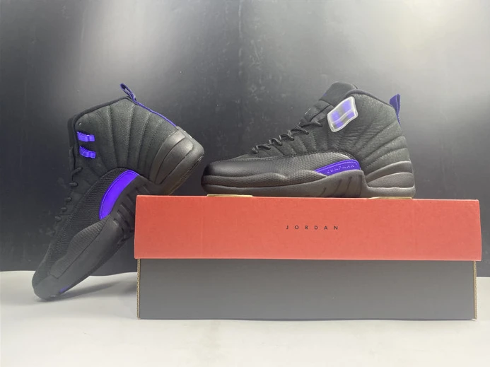 air jordan 12 black dark concord ct8013- GoAnywhere 1417