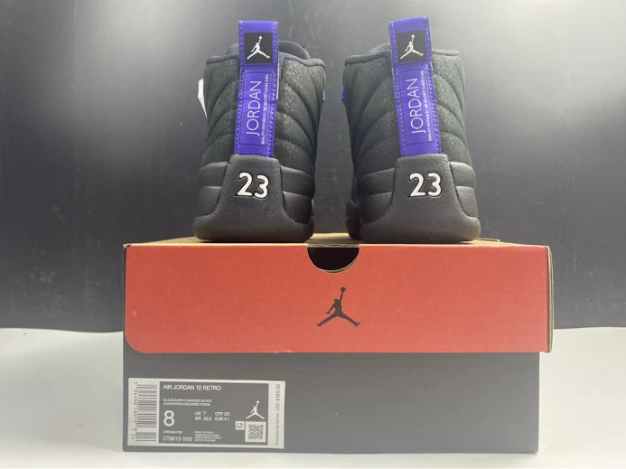 air jordan 12 black dark concord ct8013- GoAnywhere 1417