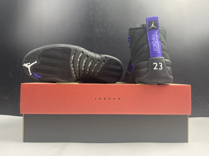 air jordan 12 black dark concord ct8013- GoAnywhere 1417