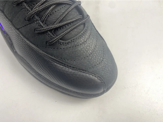 air jordan 12 black dark concord ct8013- GoAnywhere 1417