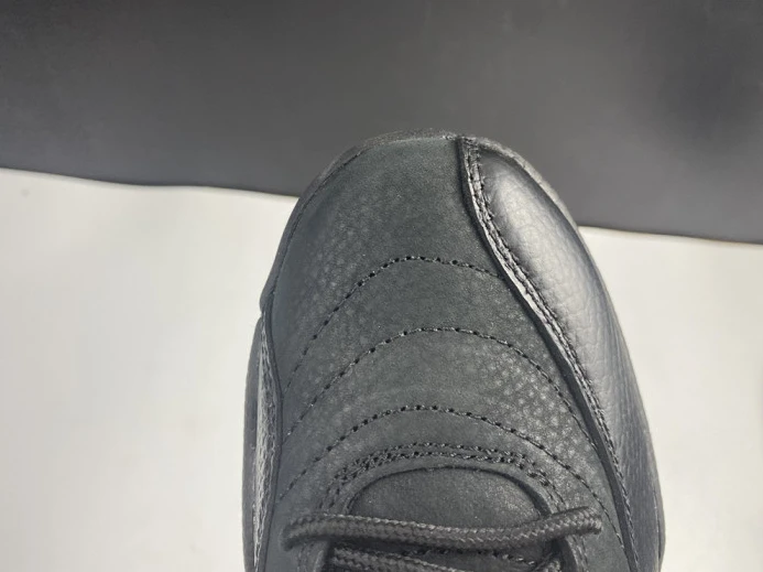 air jordan 12 black dark concord ct8013- GoAnywhere 1417