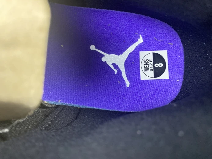 air jordan 12 black dark concord ct8013- GoAnywhere 1417