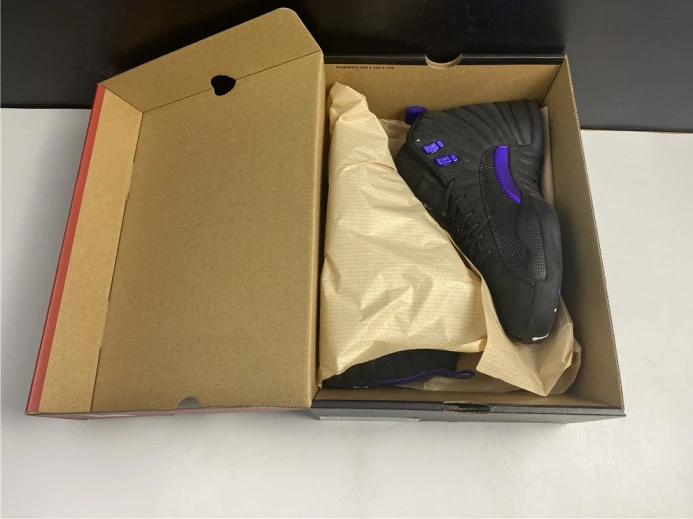 air jordan 12 black dark concord ct8013- GoAnywhere 1417
