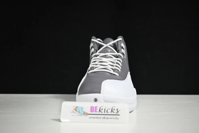 air jordan 12 stealth ct8013- SmartChoice 1410