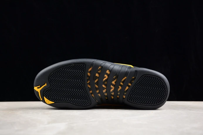 air jordan 12 “black taxi” ct8013- GoodFit 1409