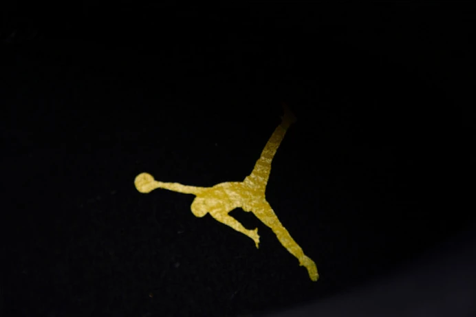 air jordan 12 “black taxi” ct8013- GoodFit 1409