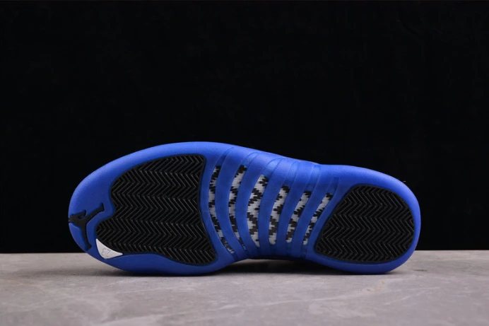 air jordan 12 “blueberry” ct8013- GoodFit 1397