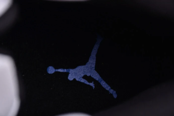 air jordan 12 “blueberry” ct8013- GoodFit 1397