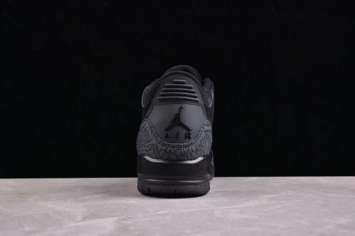 air jordan 3 retro black cat 136064- GoAnywhere 1519