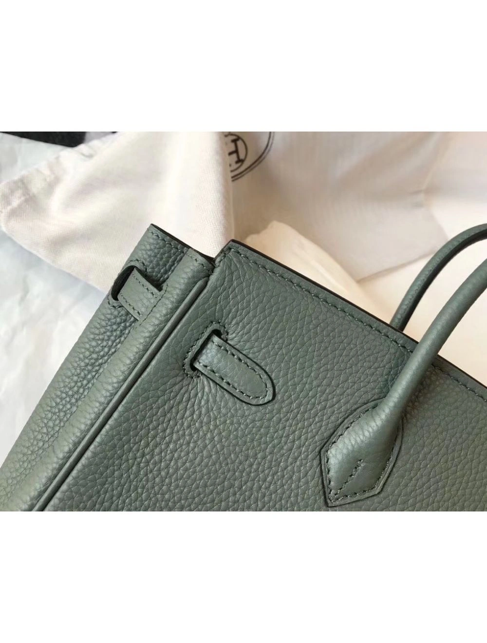 Hermes Birkin 25cm Bag In Vert Amande Clemence Leather GHW