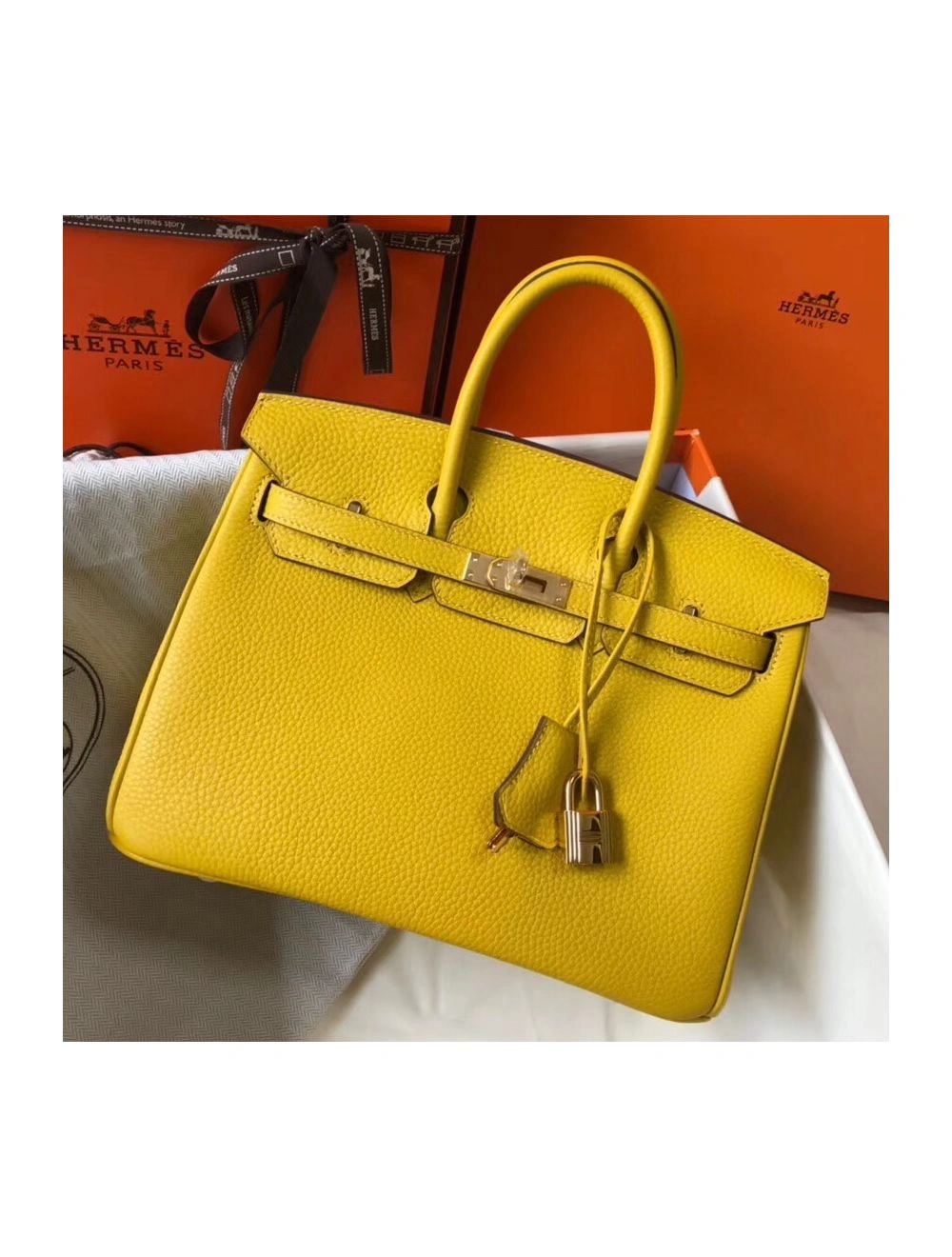 Hermes Birkin 25cm Bag In Yellow Clemence Leather GHW