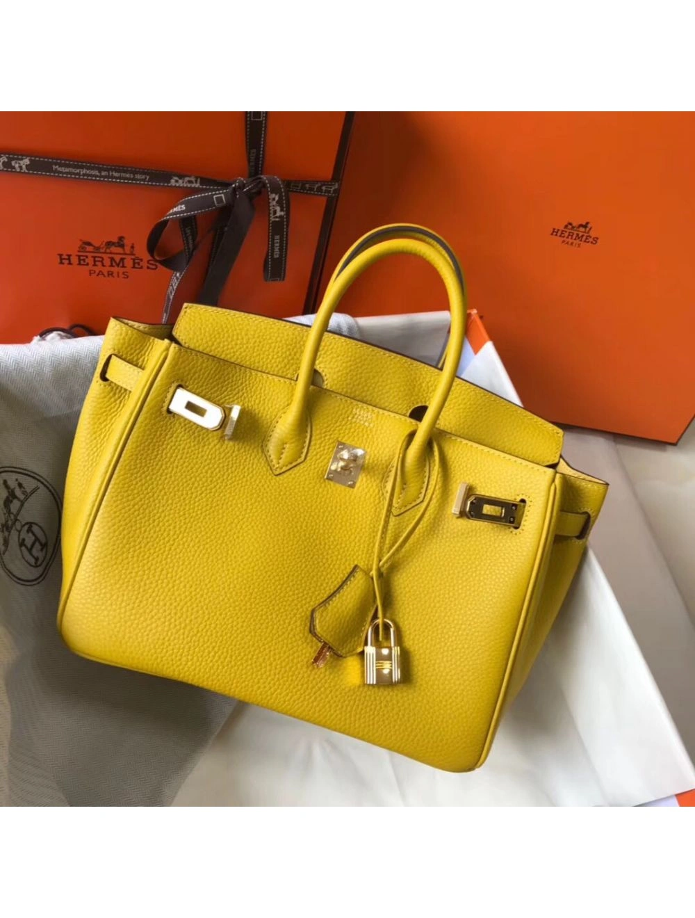 Hermes Birkin 25cm Bag In Yellow Clemence Leather GHW