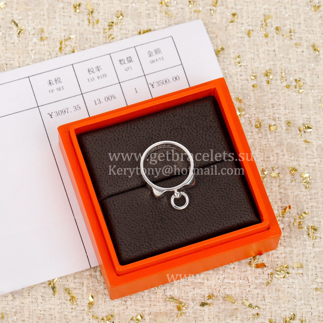 Hermes Collier de Chien Ring in Sliver Mother’s Day Gift