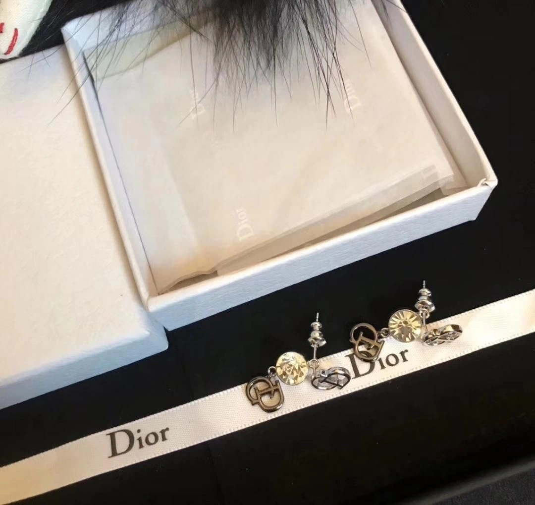 New Style Dior C-D Shaped Motif White Crstal Womens Sterling Silver Drop Earrings Price List