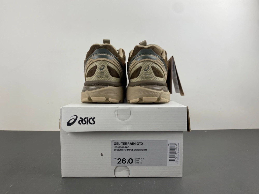 Sustainable ASICS Gel-Terrain Gore-Tex nonnative 1203A584- 2513