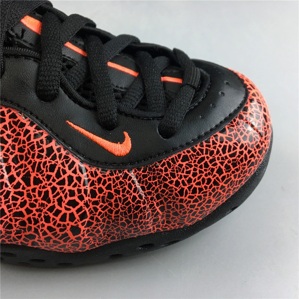 Air Foamposite Premium 1295