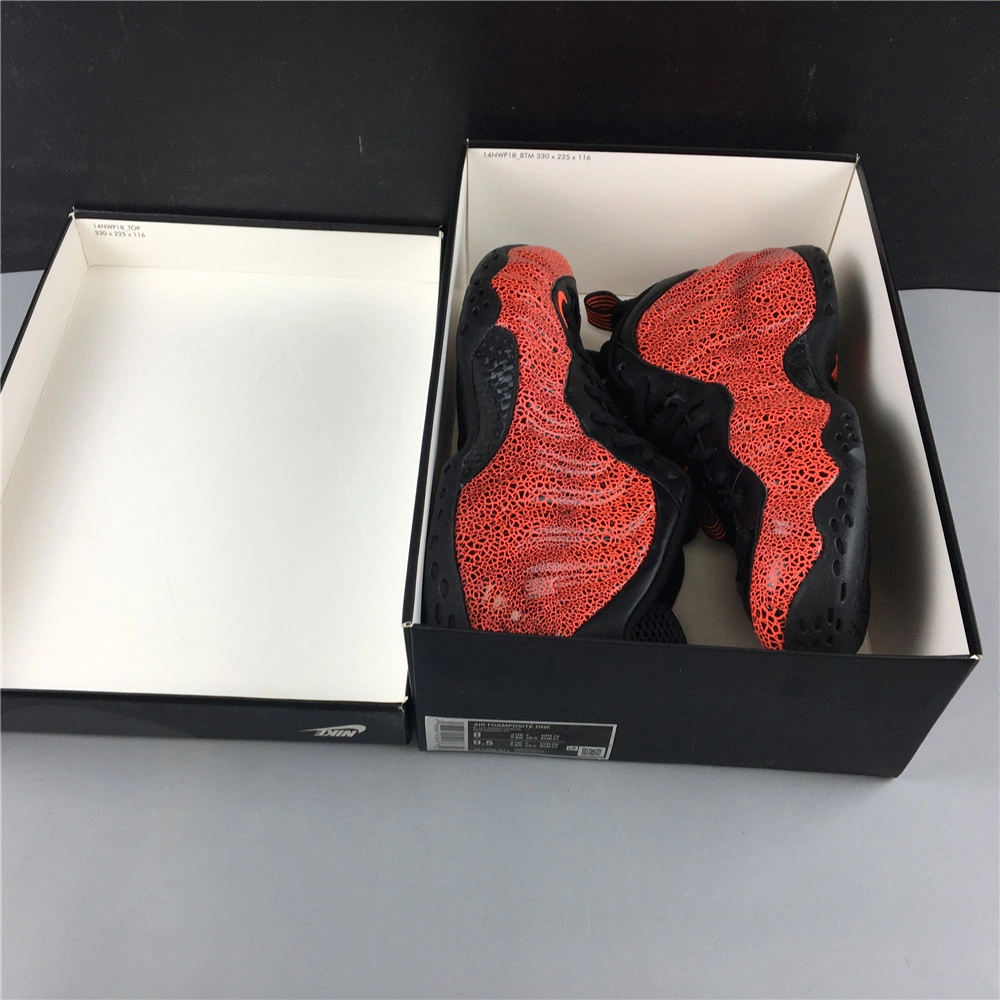 Air Foamposite Premium 1295