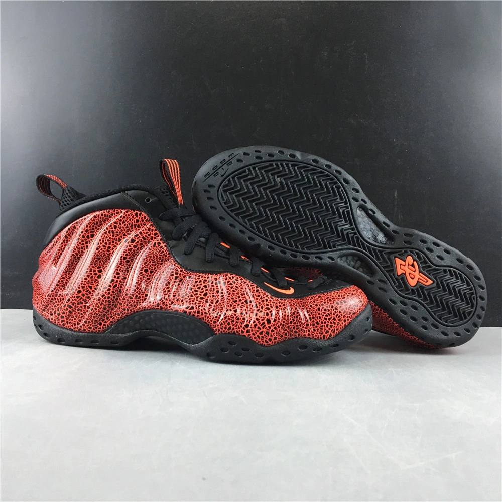 Air Foamposite Premium 1295