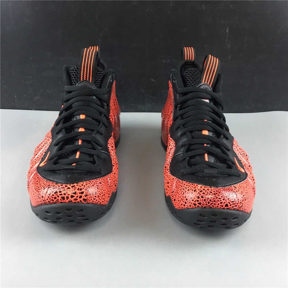 Air Foamposite Premium 1295
