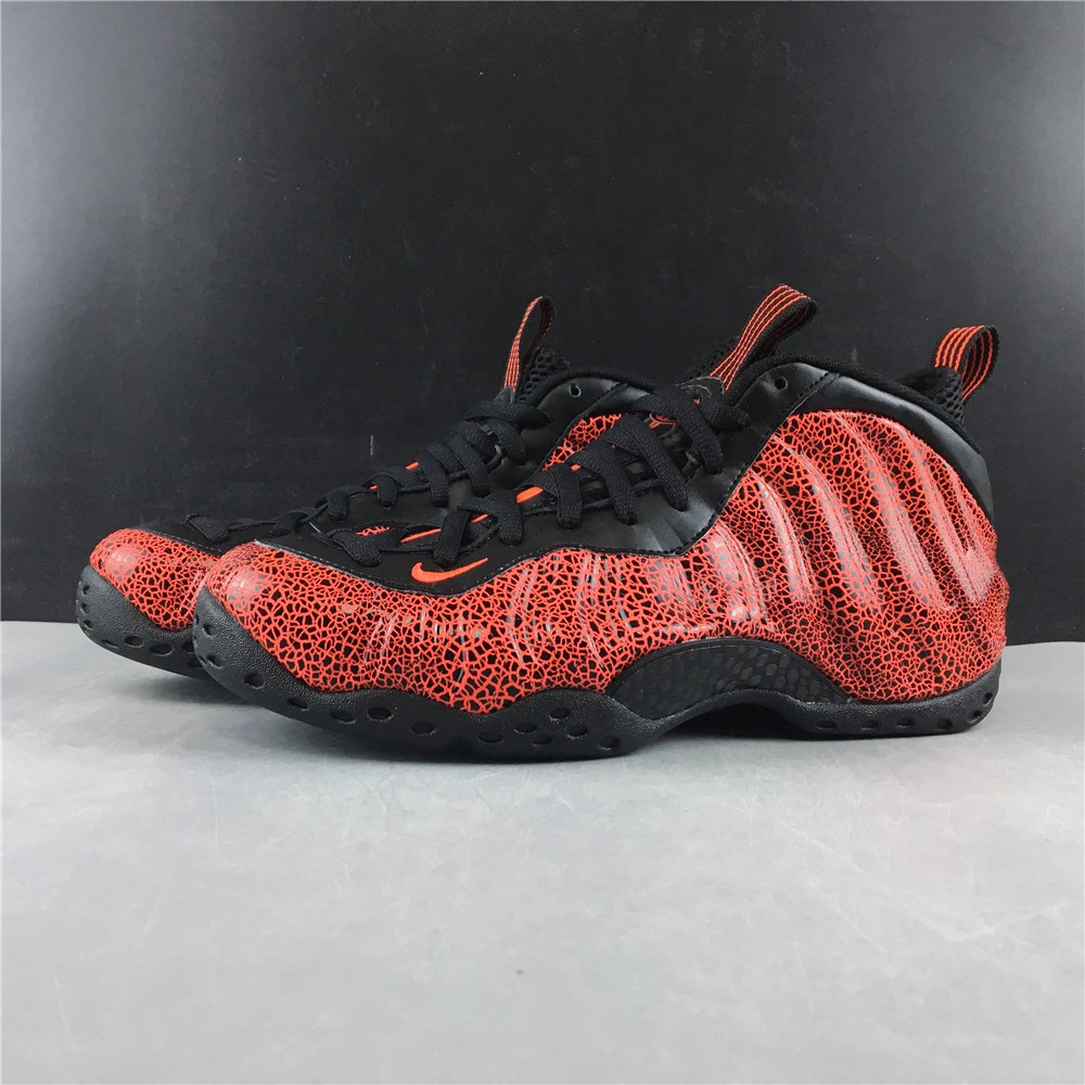 Air Foamposite Premium 1295