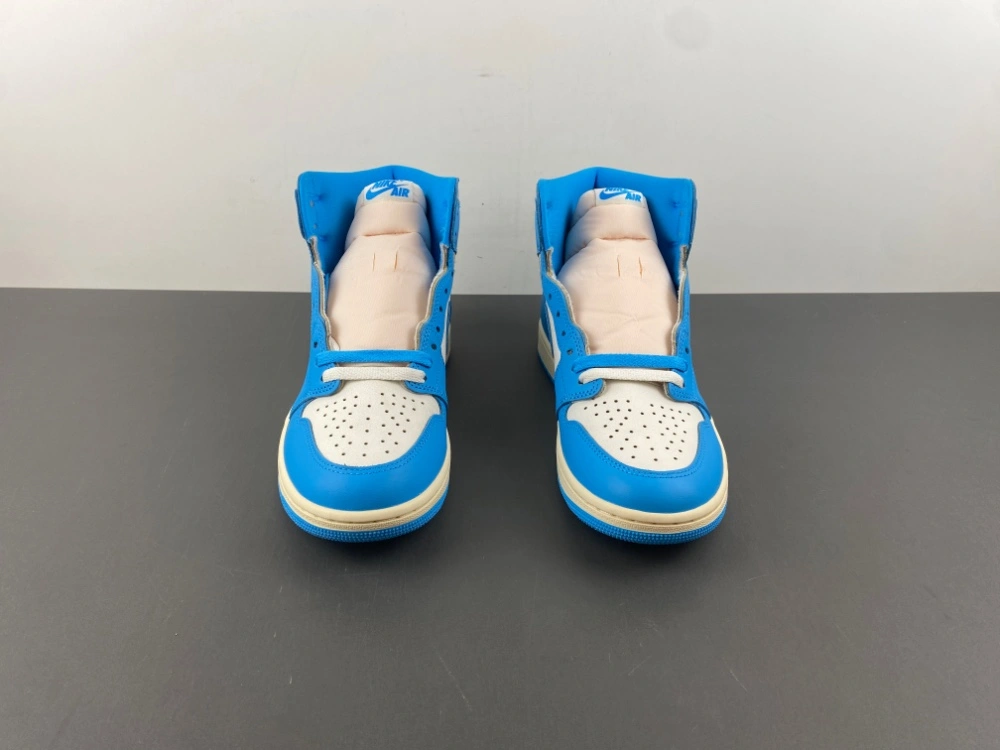 Air Jordan 1 Retro UNC Reimagined DZ5485- WeatherProof 1336
