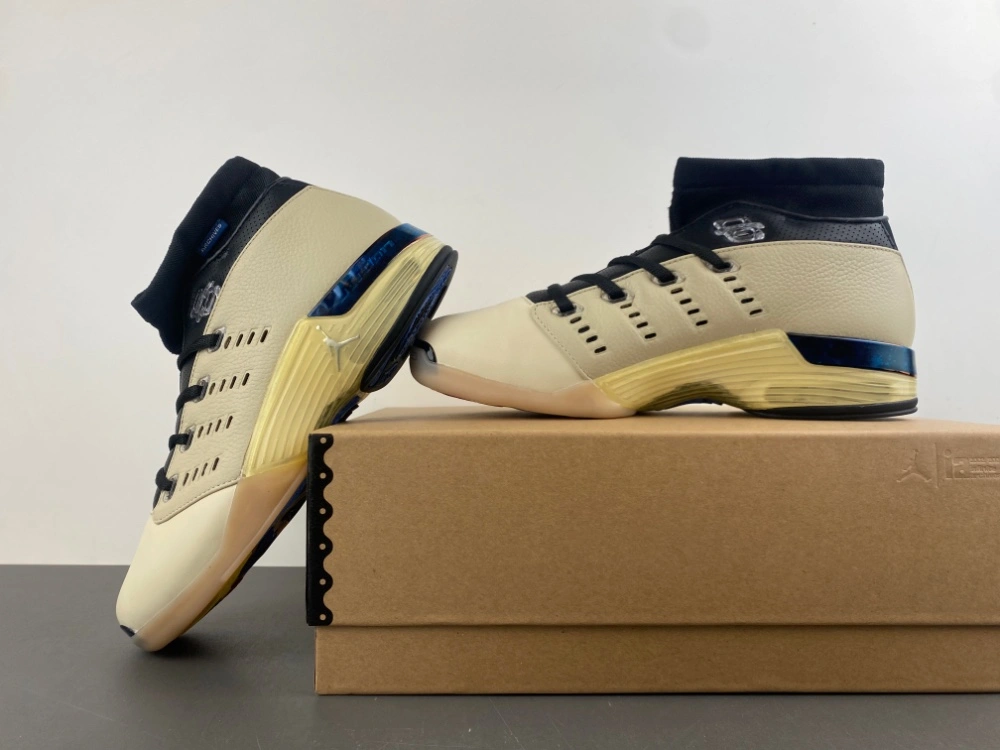 Air Jordan 17 Retro Low SP Infinite Archives IH0177- Premium 2319