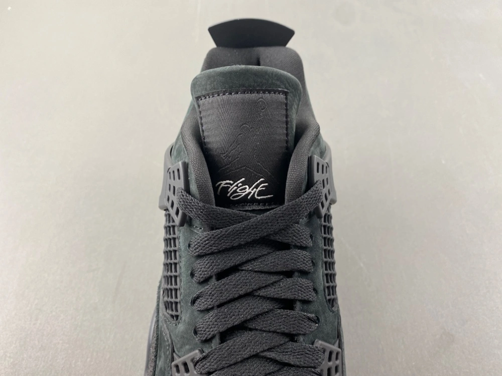 Air Jordan 4 Nigel Sylvester HF4340- Affordable 1905
