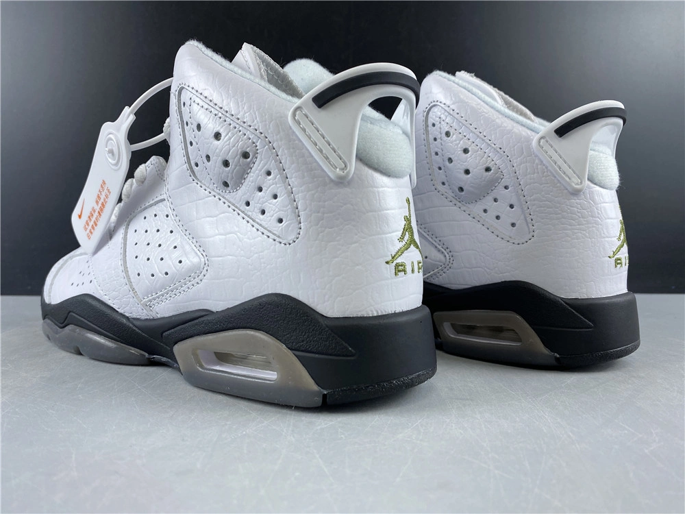 Minimalist Air Jordan 6 Retro Alligator 384665- 2136