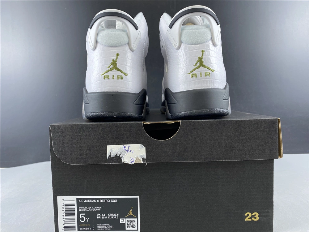 Minimalist Air Jordan 6 Retro Alligator 384665- 2136