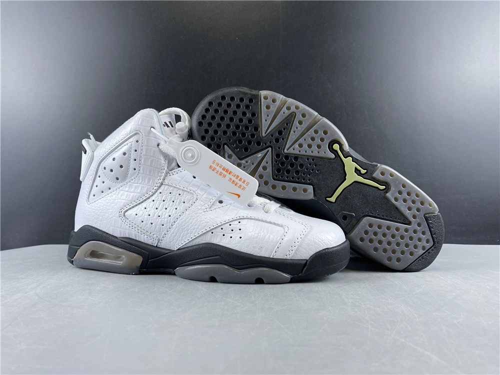 Minimalist Air Jordan 6 Retro Alligator 384665- 2136