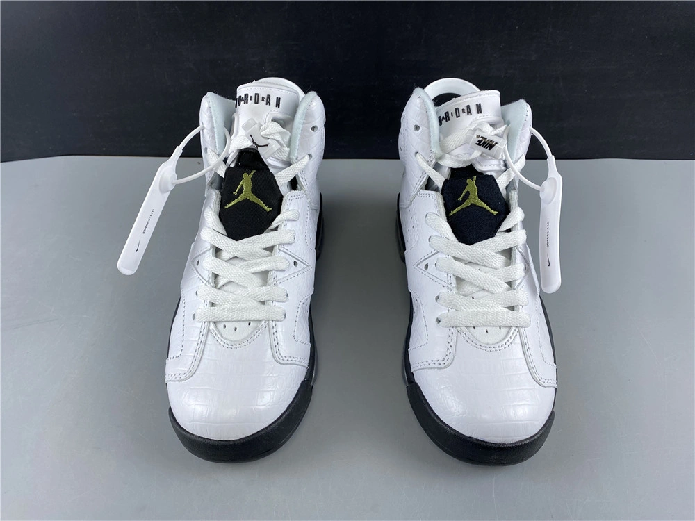 Minimalist Air Jordan 6 Retro Alligator 384665- 2136