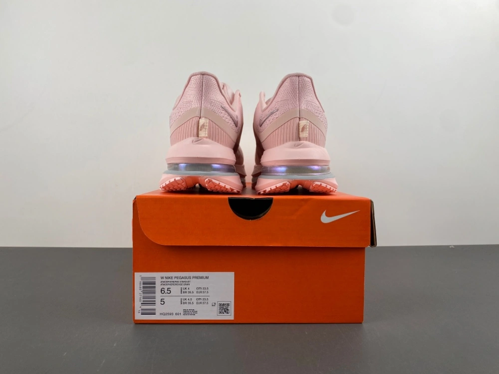 Unique Air Zoom Pegasus  Atmosphere HQ2593- 835