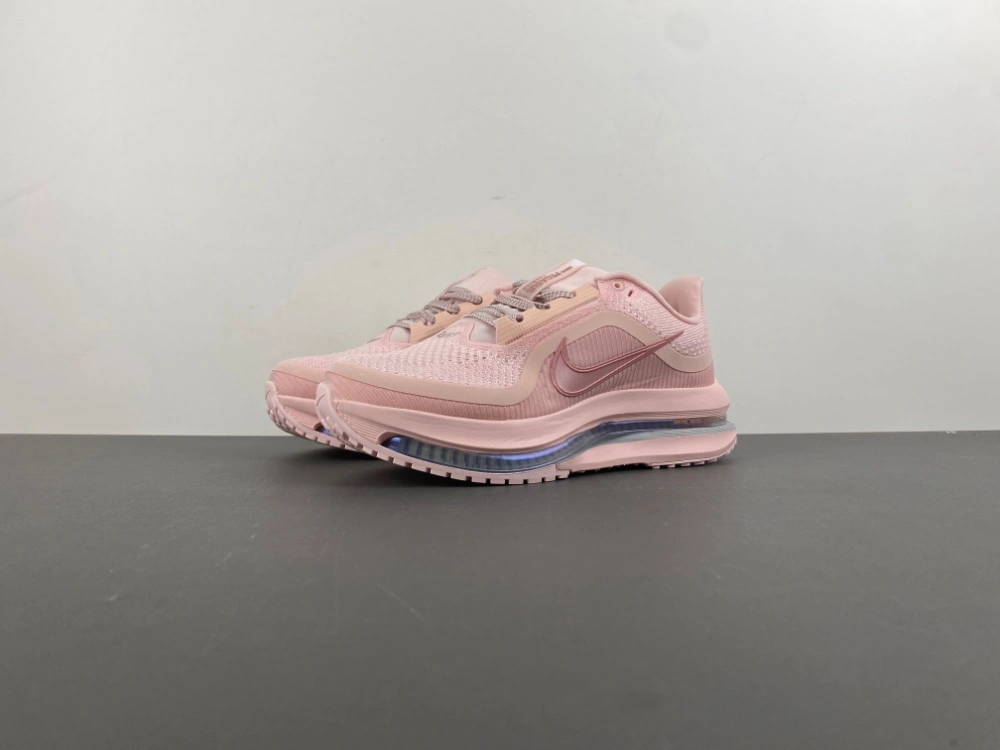 Unique Air Zoom Pegasus  Atmosphere HQ2593- 835