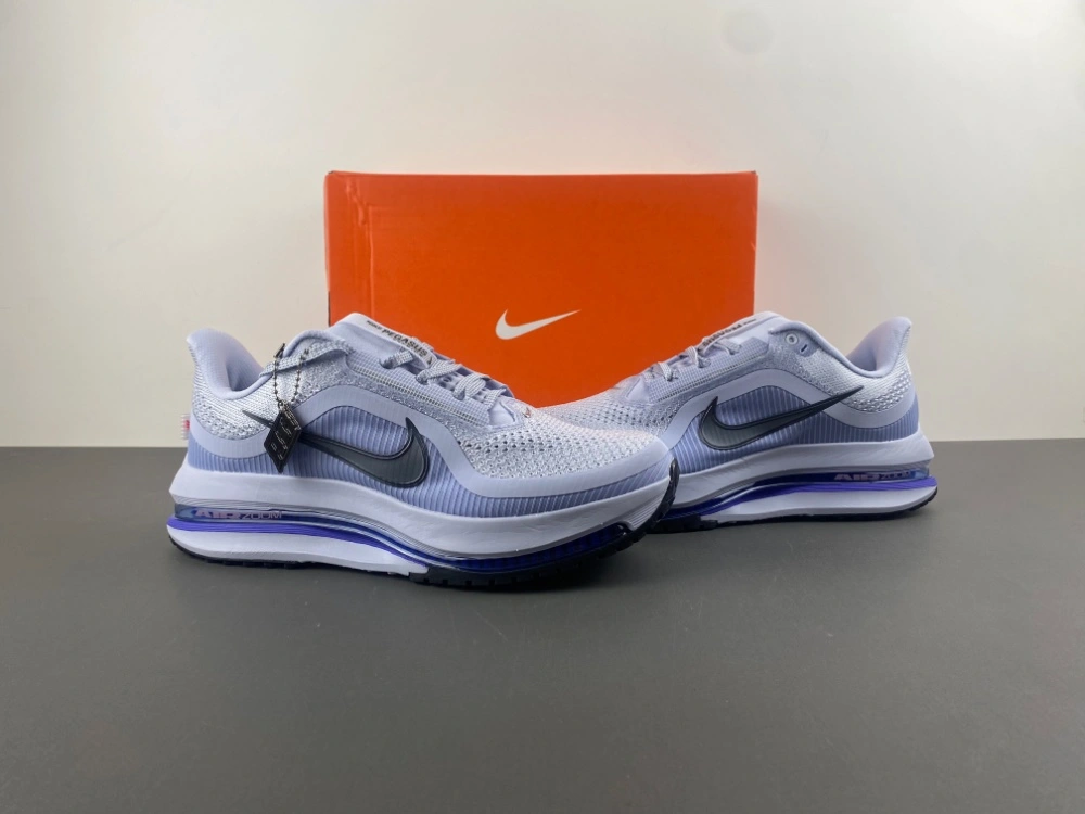 Functional Air Zoom Pegasus  Persian Violet HQ2592- 833