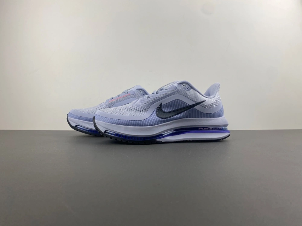 Functional Air Zoom Pegasus  Persian Violet HQ2592- 833