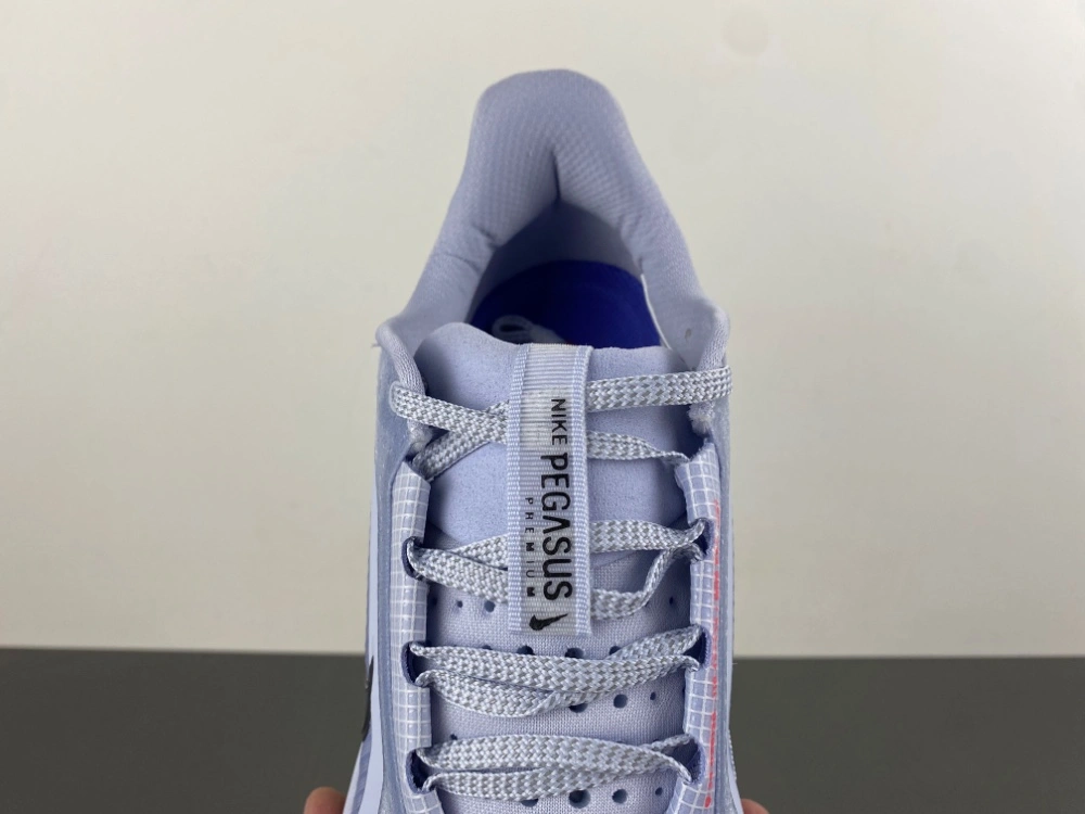 Air Zoom Pegasus  Persian Violet HQ2592- WrinkleFree 839