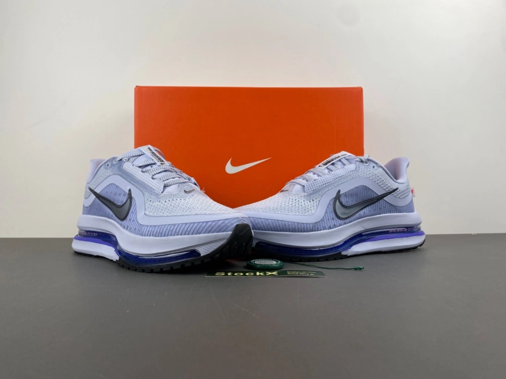 Air Zoom Pegasus  Persian Violet HQ2592- WrinkleFree 839