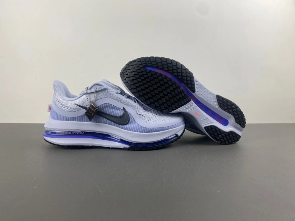 Functional Air Zoom Pegasus  Persian Violet HQ2592- 833