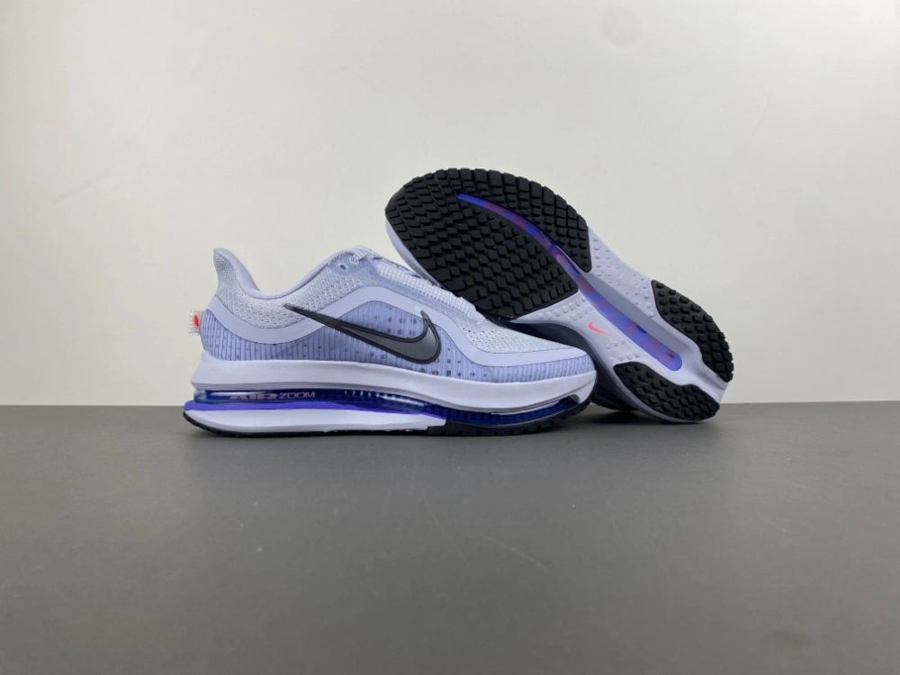 Air Zoom Pegasus  Persian Violet HQ2592- WrinkleFree 839