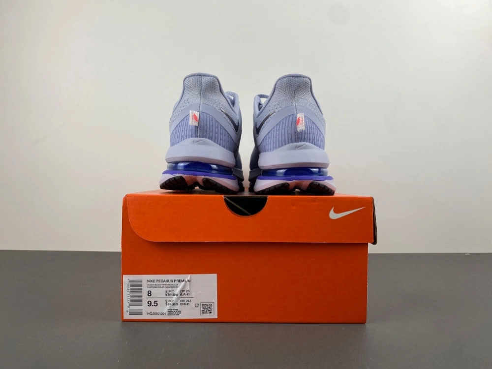 Air Zoom Pegasus  Persian Violet HQ2592- WrinkleFree 839