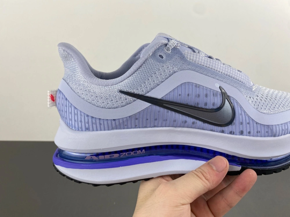 Air Zoom Pegasus  Persian Violet HQ2592- WrinkleFree 839