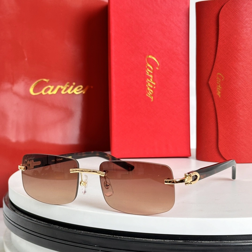 SunProtective C*artier Glasses Top XX 20240721- 16853