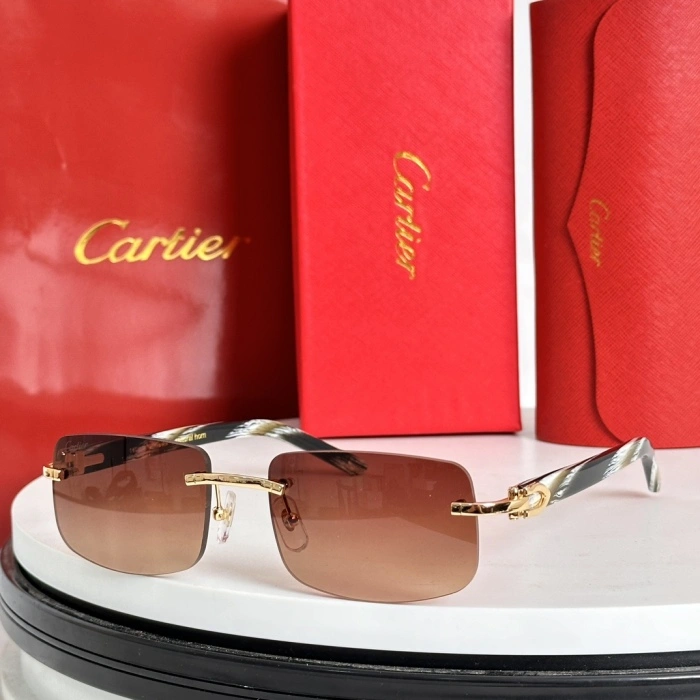 SunProtective C*artier Glasses Top XX 20240721- 16853