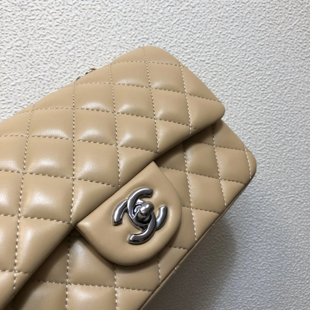 GoAnywhere C*hanel Crossbody bag Top Quality HT 20231013-32 20cm 8803