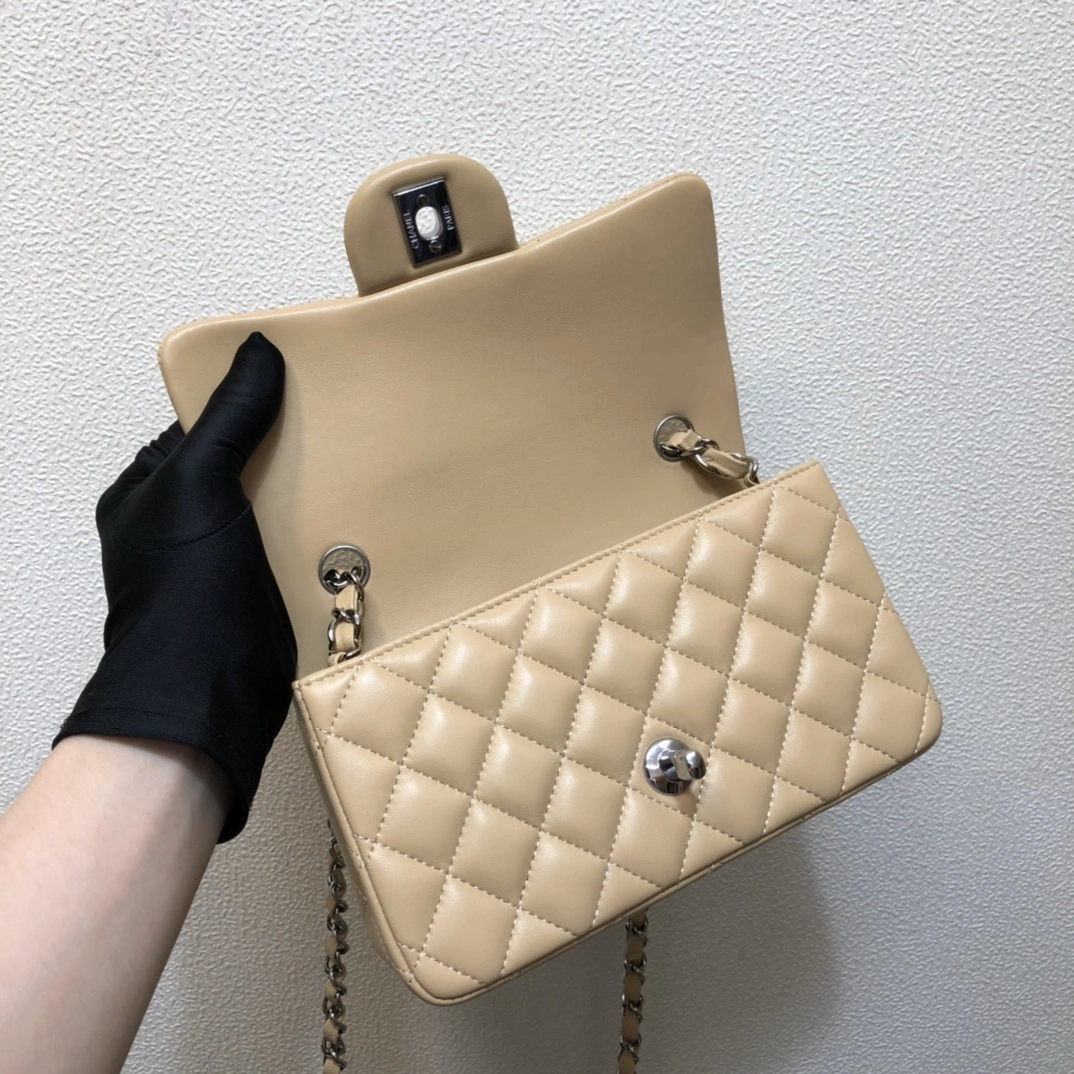 GoAnywhere C*hanel Crossbody bag Top Quality HT 20231013-32 20cm 8803
