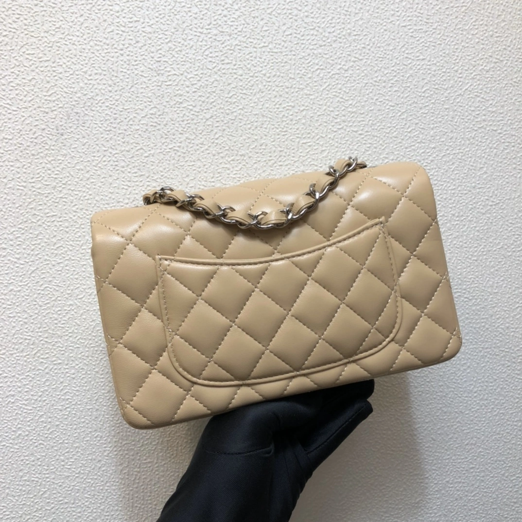 GoAnywhere C*hanel Crossbody bag Top Quality HT 20231013-32 20cm 8803