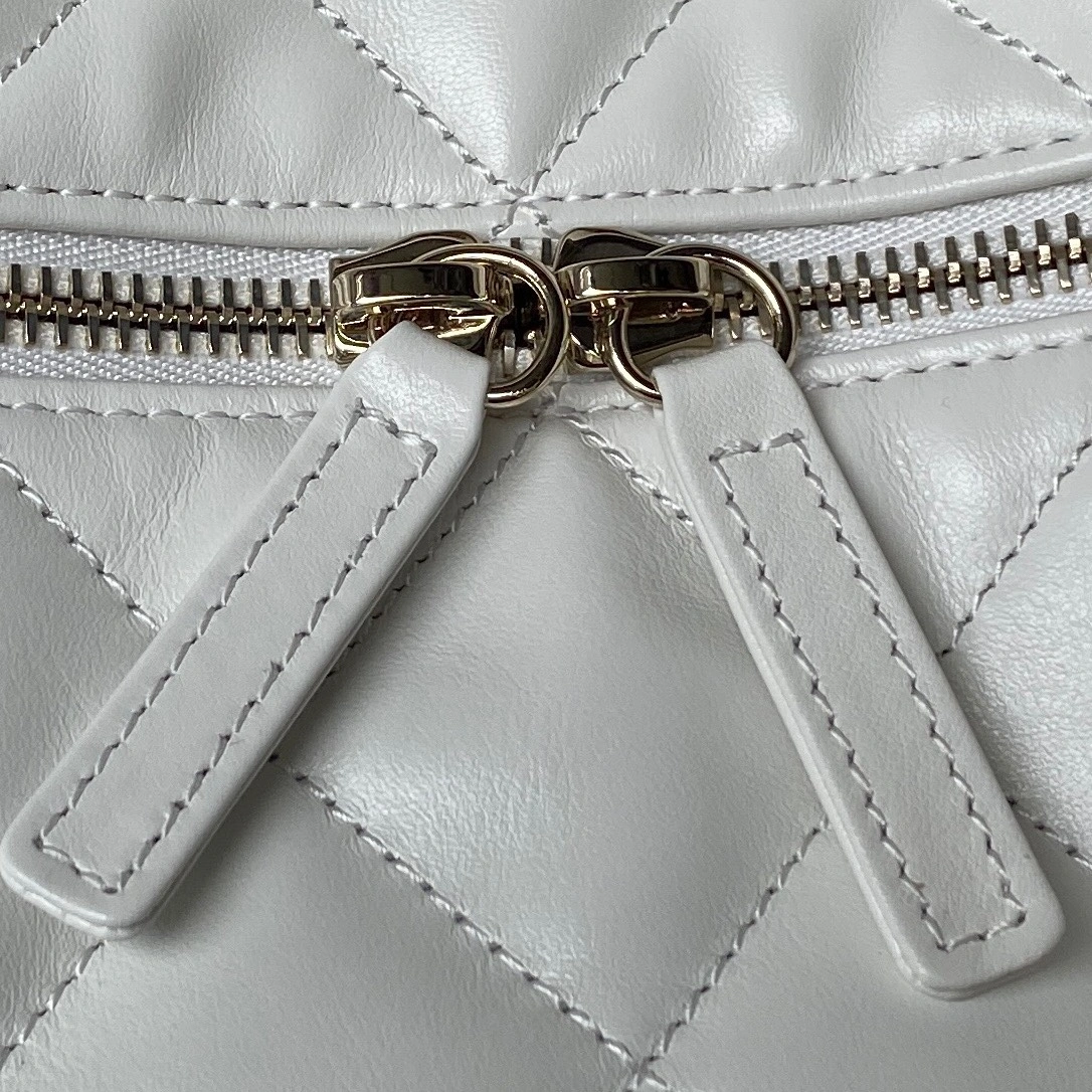 Sleek C*hanel Handbag Top Quality HT 20231010- 8951
